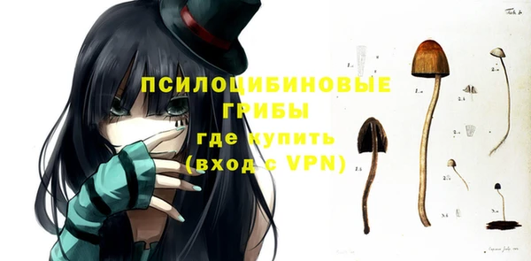 трава Беломорск