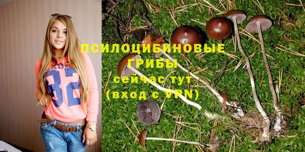 кристаллы Белокуриха