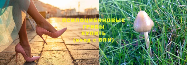 прущая мука Белоозёрский