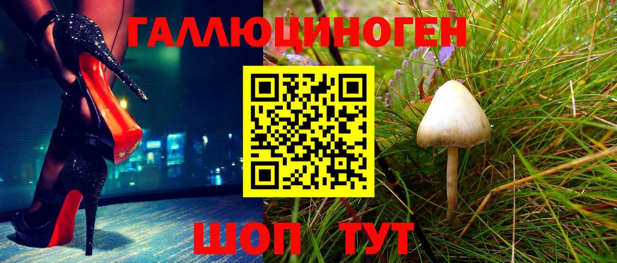 Галлюциногенные грибы Psilocybine cubensis Великий Устюг