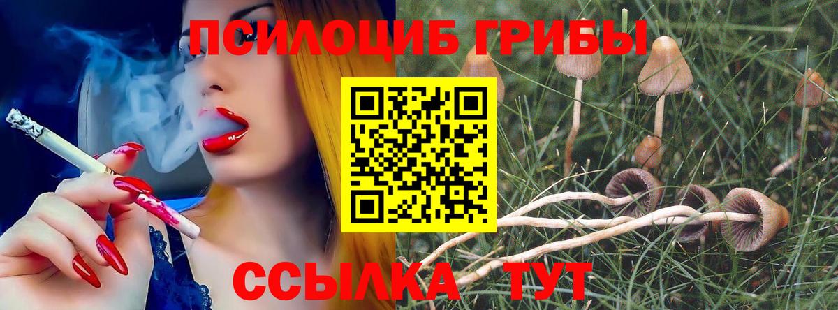 купить   Псилоцибиновые грибы Magic Shrooms  Великий Устюг  Вход с VPN  Псилоцибиновые грибы мицелий 